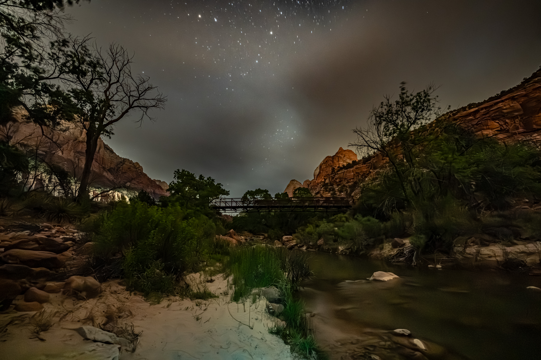 Zion Night