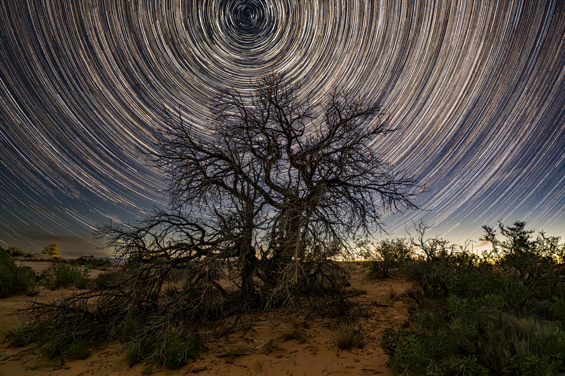 Star Trails Over Arches glossy metal print